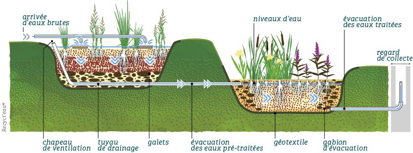 Assainissement de l'eau maison autonome TOITOT