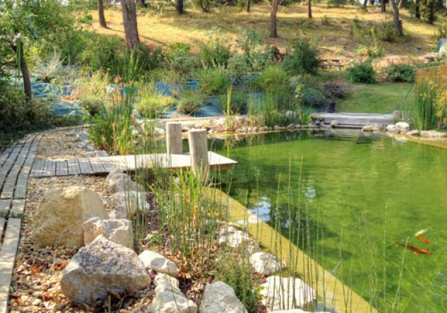 Source d'eau potable maison autonome toitot piscine naturelle