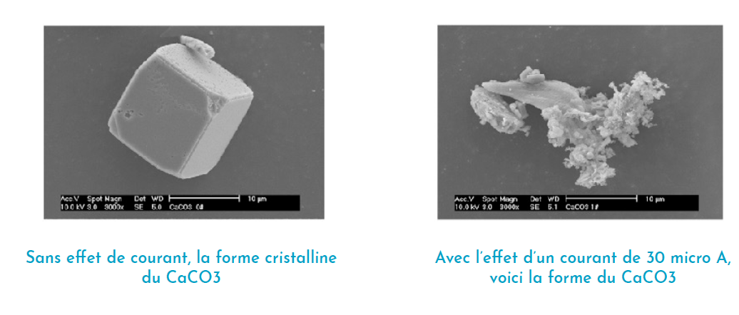 Dynamisation & anti-calcaire naturel maison autonome TOITOT